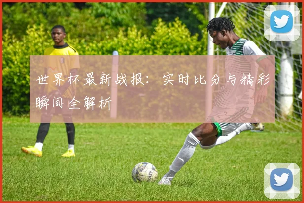 世界杯最新战报：实时比分与精彩瞬间全解析