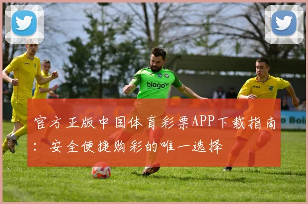 官方正版中国体育彩票APP下载指南:安全便捷购彩的唯一选择